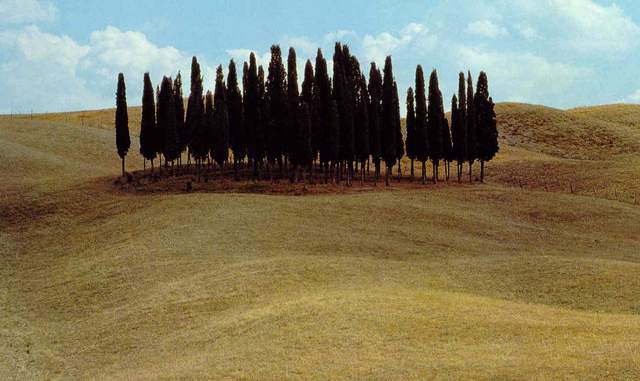 Crete Senesi
